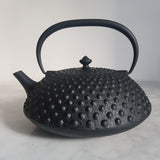 Théière en Fonte Japonaise Noire