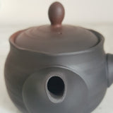 Théière Artisanale Japonaise <br> Tokoname 240ml