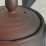 Théière Artisanale Japonaise <br> Tokoname 240ml