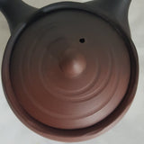 Théière Artisanale Japonaise <br> Tokoname 240ml