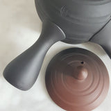 Théière Artisanale Japonaise <br> Tokoname 240ml