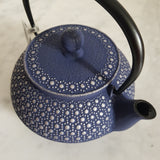 Théière Japonaise en Fonte Iwachu