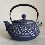 Théière en Fonte Japonaise Bleue