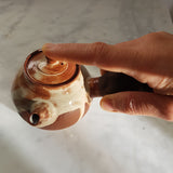 Théière Japonaise <br> Kyusu Artisanal 230ml
