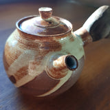 Théière Japonaise <br> Kyusu Artisanal 230ml