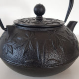 Théière en Fonte <br> Asiatique 800ml
