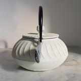 Théière en Fonte Blanche <br> Iwachu Nami 650ml
