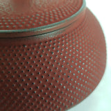 Théière en Fonte Bordeaux <br> Iwachu Arare 600ml