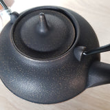 Théière en Fonte Design <br> Iwachu Hoju 800ml