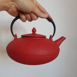Théière en Fonte Japonaise Rouge