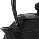 Théière en Fonte Iwachu <br> Arare 1.2L