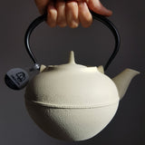 Théière en Fonte Design