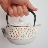 Théière en Fonte 300ml