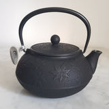 Théière en Fonte Japonaise Iwachu