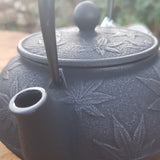 Théière en Fonte Japonaise Noire <br> Iwachu Kaede 650ml
