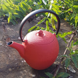 Théière en fonte Rouge
