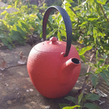 Théière en Fonte Wazuqu