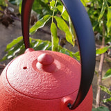 Théière en Fonte Moderne <br> Wazuqu Mayu 550ml