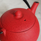 Théière en Fonte Moderne <br> Wazuqu Mayu 550ml