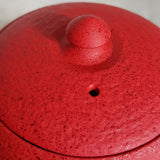 Théière en Fonte Moderne <br> Wazuqu Mayu 550ml
