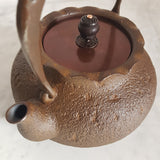 Théière en Fonte <br> Bouilloire Non Émaillée KAKI 1300ml