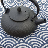 Théière en fonte Japonaise Plate