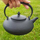 Théière en Fonte Japonaise Noire