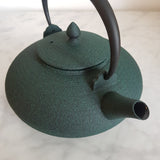 Théière en Fonte Japonaise Verte