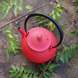 théière fonte du Japon