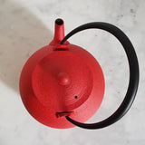 Théière en fonte Design