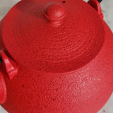Théière en Fonte Rouge <br> Wazuqu Hikime 950ml
