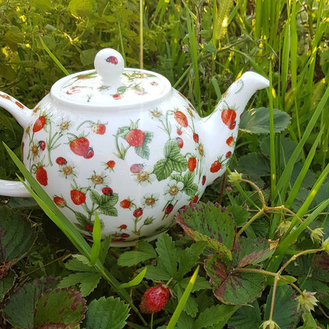 Théière Dunoon Dovedale Strawberry