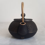 Théière en Fonte Iwachu Arare