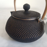 Théière en Fonte 1 Personne <br> Iwachu Arare 300ml