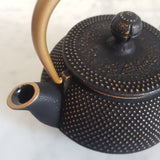Théière en Fonte Made in Japan