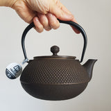 Théière Japonaise Traditionnelle en Fonte <br> Iwachu Arare 900ml