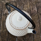 Théière Fonte Iwachu Blanche