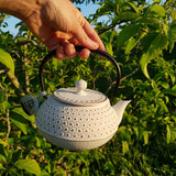 Théière en Fonte Japonaise Blanc et Or