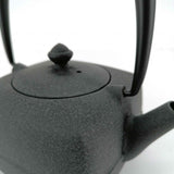 Théière en Fonte Carrée <br> Wazuqu Yoho 400ml