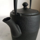 Théière en Fonte Design Scandinave <br> Wazuqu Wabi 600ml