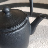 Théière en Fonte Design Scandinave <br> Wazuqu Wabi 600ml