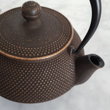 Théière en Fonte Iwachu <br> Arare 600ml