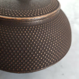 Théière en Fonte Iwachu <br> Arare 600ml