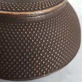 Théière en Fonte Japonaise Ancienne <br> Iwachu Arare 1.2L