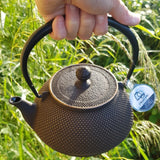 Théière en Fonte Grande Capacité
