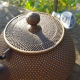 Théière en Fonte Japonaise Ancienne <br> Iwachu Arare 1.2L