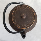 Théière en Fonte Iwachu <br> Arare 600ml