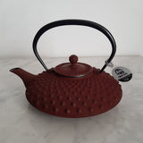Théière Japonaise en Fonte Plate