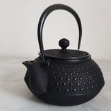 Théière en Fonte Japonaise <br> Iwachu Kikko 900ml