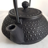 Théière en Fonte Japonaise <br> Iwachu Kikko 900ml